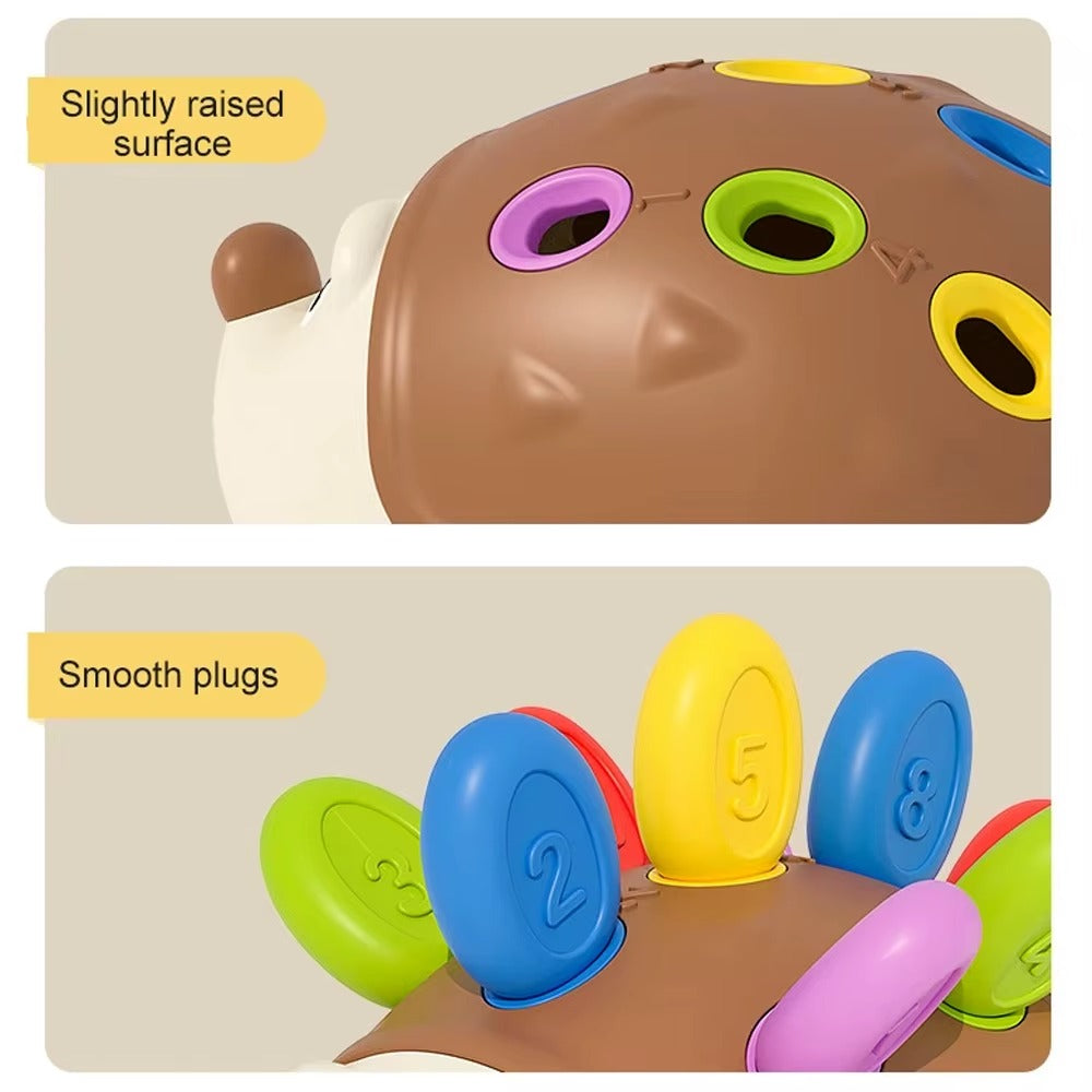 קיפוד מונטסורי